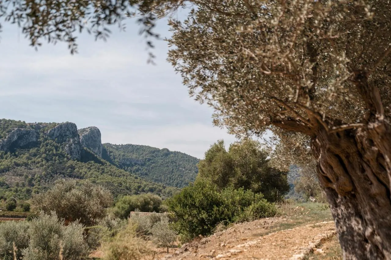 Son Brull Hotel & Spa Pollenca 5*,